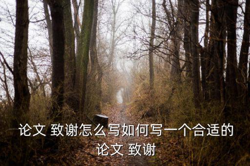 論文致謝怎么寫,致謝老師和導師致謝新傳媒創辦人