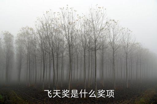飛天獎,中國電視金鷹獎:獲獎名單揭曉導演編劇皆獲獎50萬元