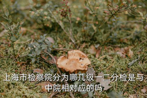 上海市檢察院分為哪幾級(jí)一二分檢是與中院相對(duì)應(yīng)的嗎