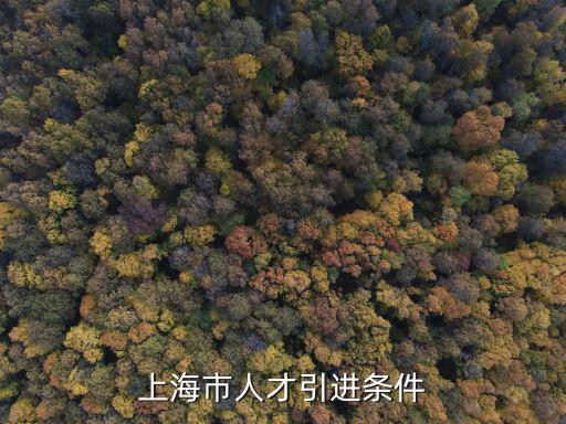上海市人才引進(jìn)條件