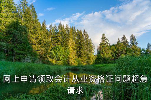 網上申請領取會計從業資格證問題超急請求