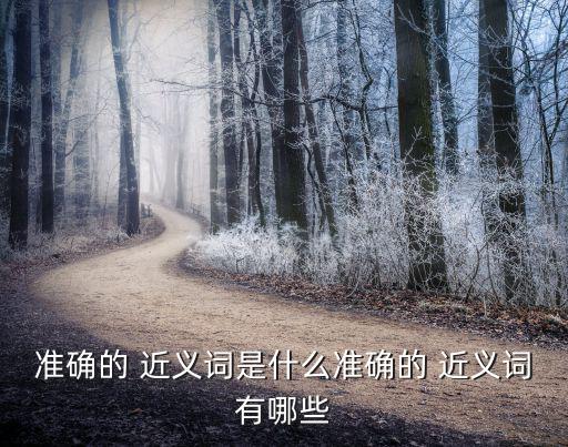 準確的 近義詞是什么準確的 近義詞有哪些