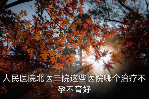 人民醫(yī)院北醫(yī)三院這些醫(yī)院哪個治療不孕不育好