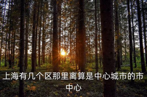 上海有幾個(gè)區(qū)那里離算是中心城市的市中心