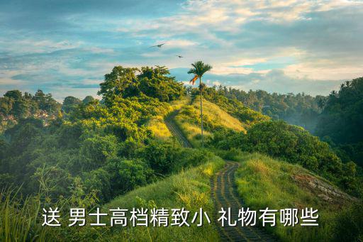 送 男士高檔精致小 禮物有哪些