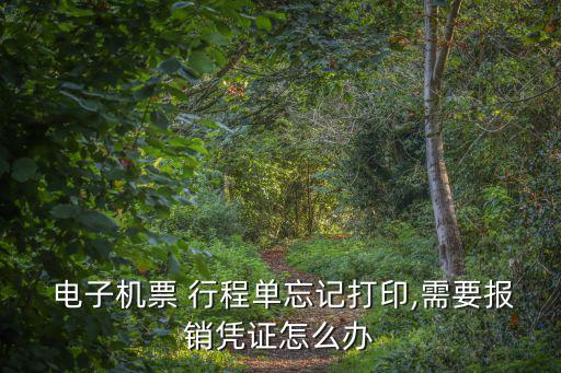  電子機票 行程單忘記打印,需要報銷憑證怎么辦