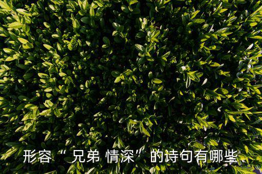 兄弟情深,你會放棄你的外表和傲慢嗎?