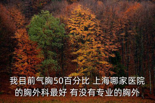 我目前氣胸50百分比 上海哪家醫(yī)院的胸外科最好 有沒有專業(yè)的胸外