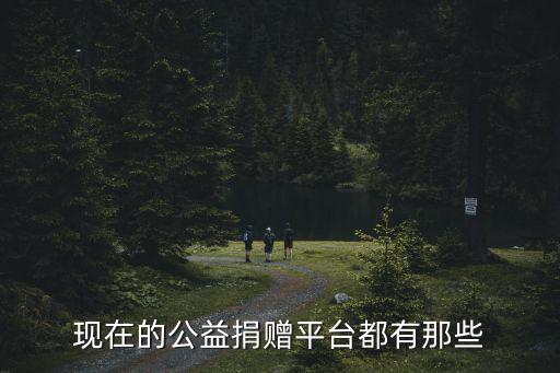 現在的公益捐贈平臺都有那些