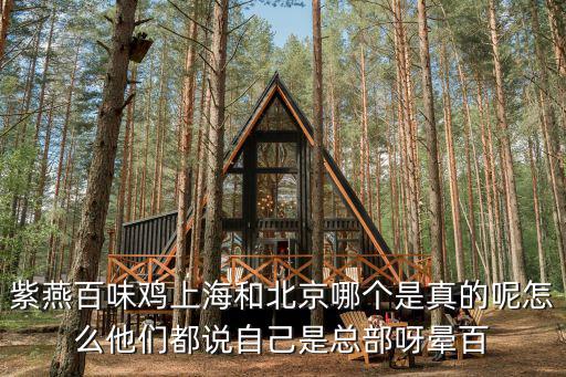 紫燕百味雞上海和北京哪個是真的呢怎么他們都說自己是總部呀暈百