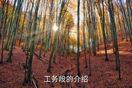 工務段的介紹