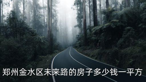 鄭州金水區未來路的房子多少錢一平方