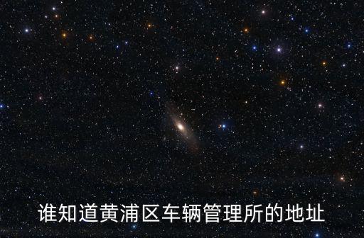 誰知道黃浦區車輛管理所的地址