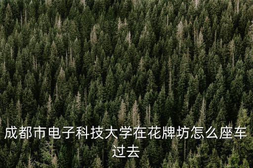 成都市電子科技大學醫院杜青，成都電子科技大學校醫院怎么樣