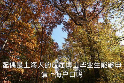 配偶是上海人的應(yīng)屆博士畢業(yè)生能夠申請上海戶口嗎