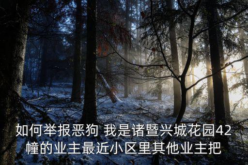 如何舉報(bào)惡狗 我是諸暨興城花園42幢的業(yè)主最近小區(qū)里其他業(yè)主把