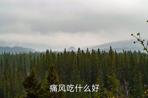  痛風(fēng)吃什么好