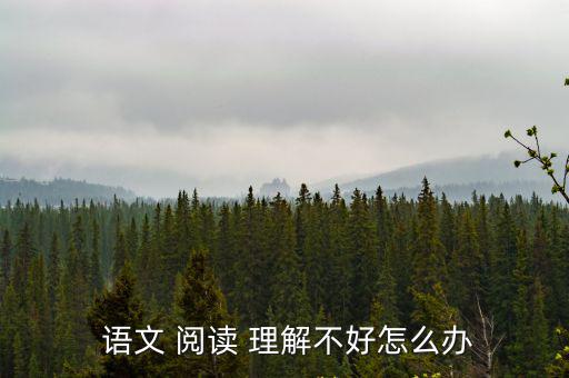  語文 閱讀 理解不好怎么辦