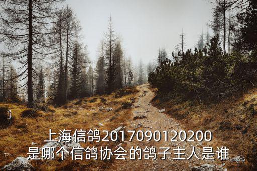 上海信鴿2017090120200是哪個(gè)信鴿協(xié)會(huì)的鴿子主人是誰(shuí)