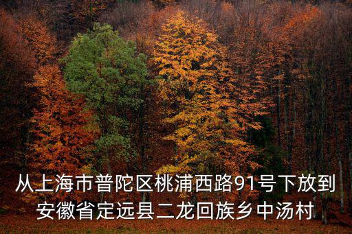 從上海市普陀區桃浦西路91號下放到安徽省定遠縣二龍回族鄉中湯村