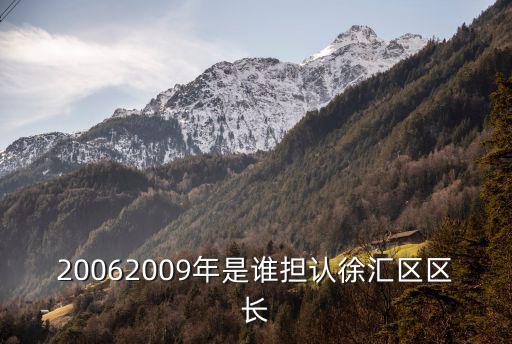 上海徐匯區區長是誰，20062009年是誰擔認徐匯區區長