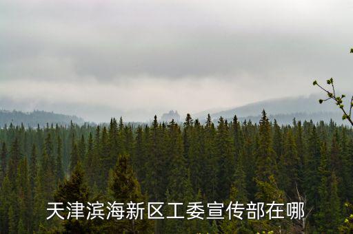 天津?yàn)I海新區(qū)工委宣傳部在哪