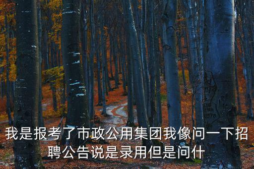 我是報考了市政公用集團(tuán)我像問一下招聘公告說是錄用但是問什