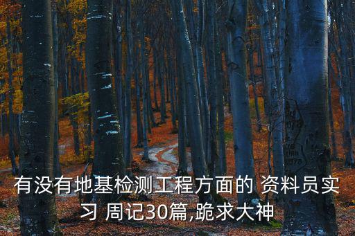 有沒有地基檢測工程方面的 資料員實習 周記30篇,跪求大神