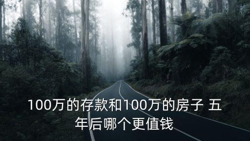 100萬(wàn)的存款和100萬(wàn)的房子 五年后哪個(gè)更值錢