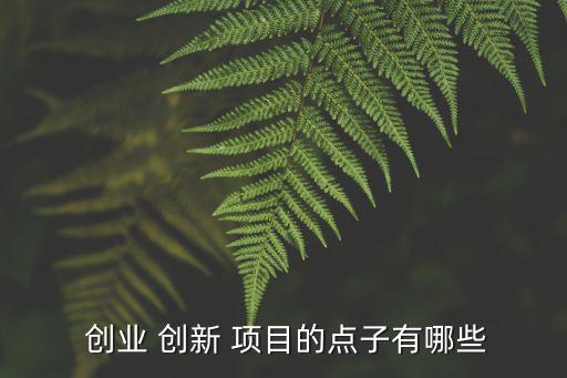  創(chuàng)業(yè) 創(chuàng)新 項(xiàng)目的點(diǎn)子有哪些