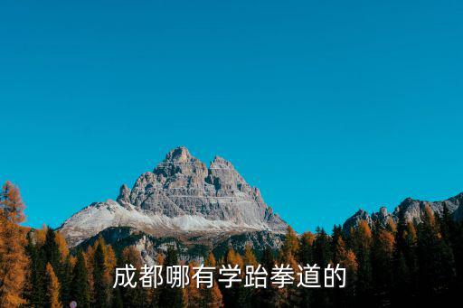 成都哪有學(xué)跆拳道的