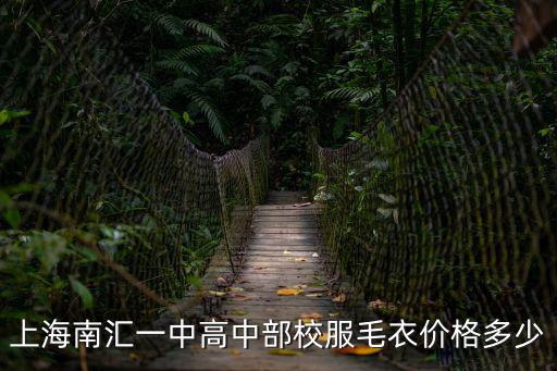 上海市南匯第一中學校服，南匯一中校服什么樣子