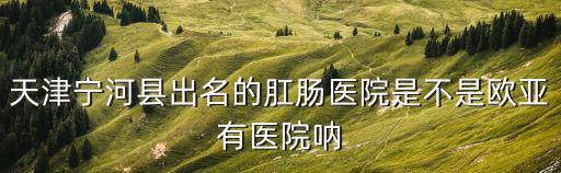 天津寧河縣出名的肛腸醫院是不是歐亞有醫院吶