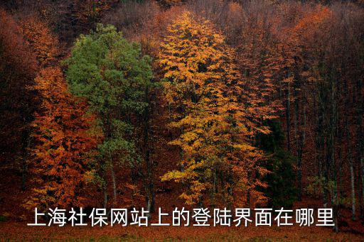 上海企業社保網上登錄入口，上海社保網站上的登陸界面在哪里