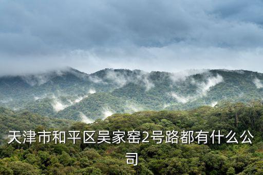 天津市福美斯公司，天津市和平區南馬路11號麥購國際大廈703室是什么公司