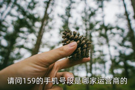 請問159的手機號段是哪家運營商的