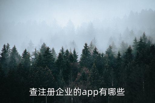 查注冊企業的app有哪些