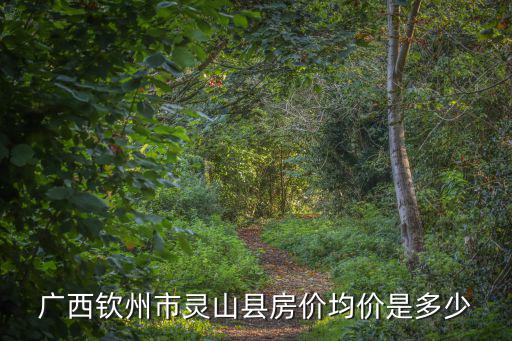 廣西欽州市靈山縣房價均價是多少