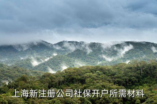 上海新注冊公司社保開戶所需材料