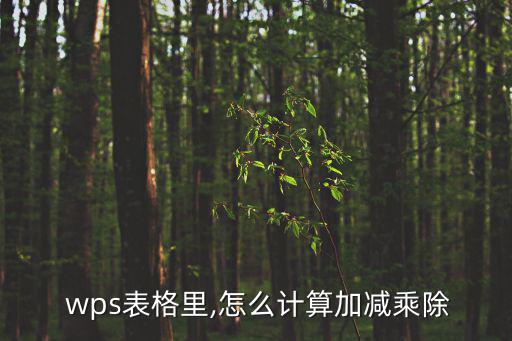 wps乘法函數,wpswps單元格添加符合規則的計算公式