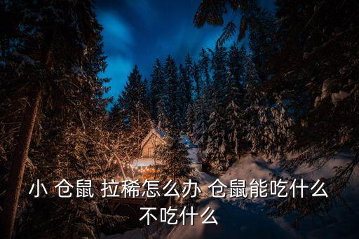 倉鼠拉稀怎么辦,慢慢調養腸胃虛弱鼠鼠拉稀怎么辦?