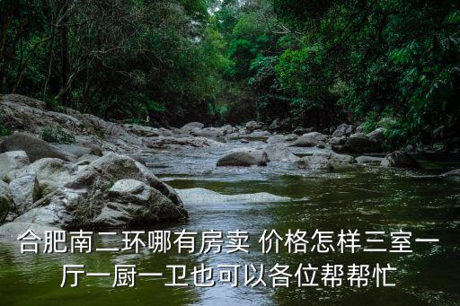 合肥南二環(huán)哪有房賣 價(jià)格怎樣三室一廳一廚一衛(wèi)也可以各位幫幫忙