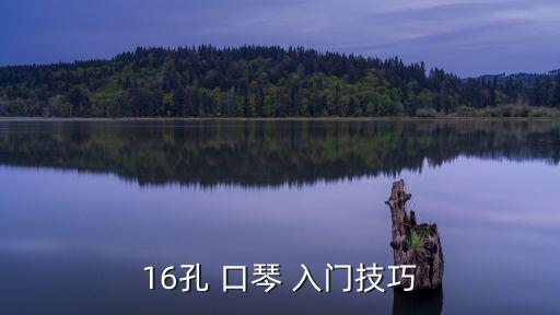 口琴入門基礎(chǔ)教程,音符要對齊先別碰這些復(fù)調(diào)口琴教程有哪些?