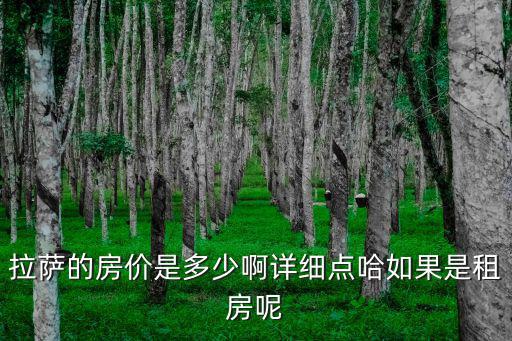 拉薩的房價是多少啊詳細點哈如果是租房呢