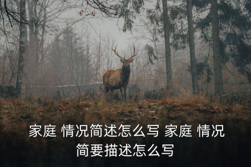  家庭 情況簡述怎么寫 家庭 情況簡要描述怎么寫