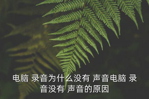 為什么錄音沒聲音,手機(jī)錄音無(wú)聲音是什么原因?