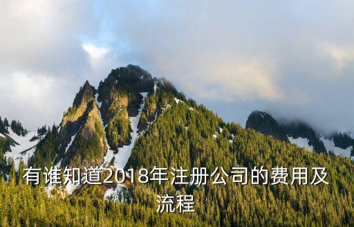 有誰知道2018年注冊公司的費用及流程