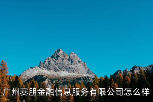 廣州賽朋金融信息服務有限公司怎么樣