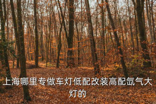上海市高配委辦局，6安上海大眾2014款18t帕薩特行政版和尊榮版有甚么區分
