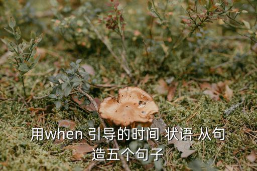 用when 引導的時間 狀語 從句造五個句子